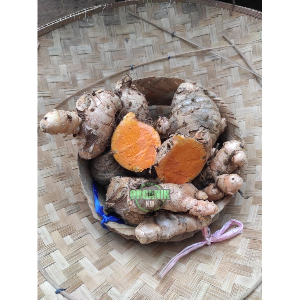 

Temulawak 1kg Temulawak Segar Asli Dari Kebun Javanese ginger.