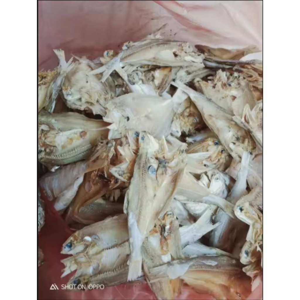 

ikan asin bilis belah 1kg