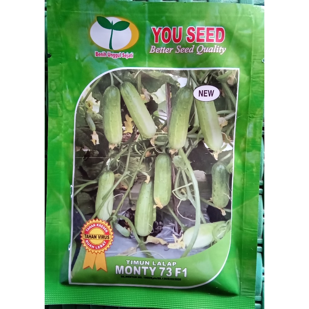Benih Timun Lalap MONTY 73 isi 20gr timun baby Mentimun Biji Bibit You seed