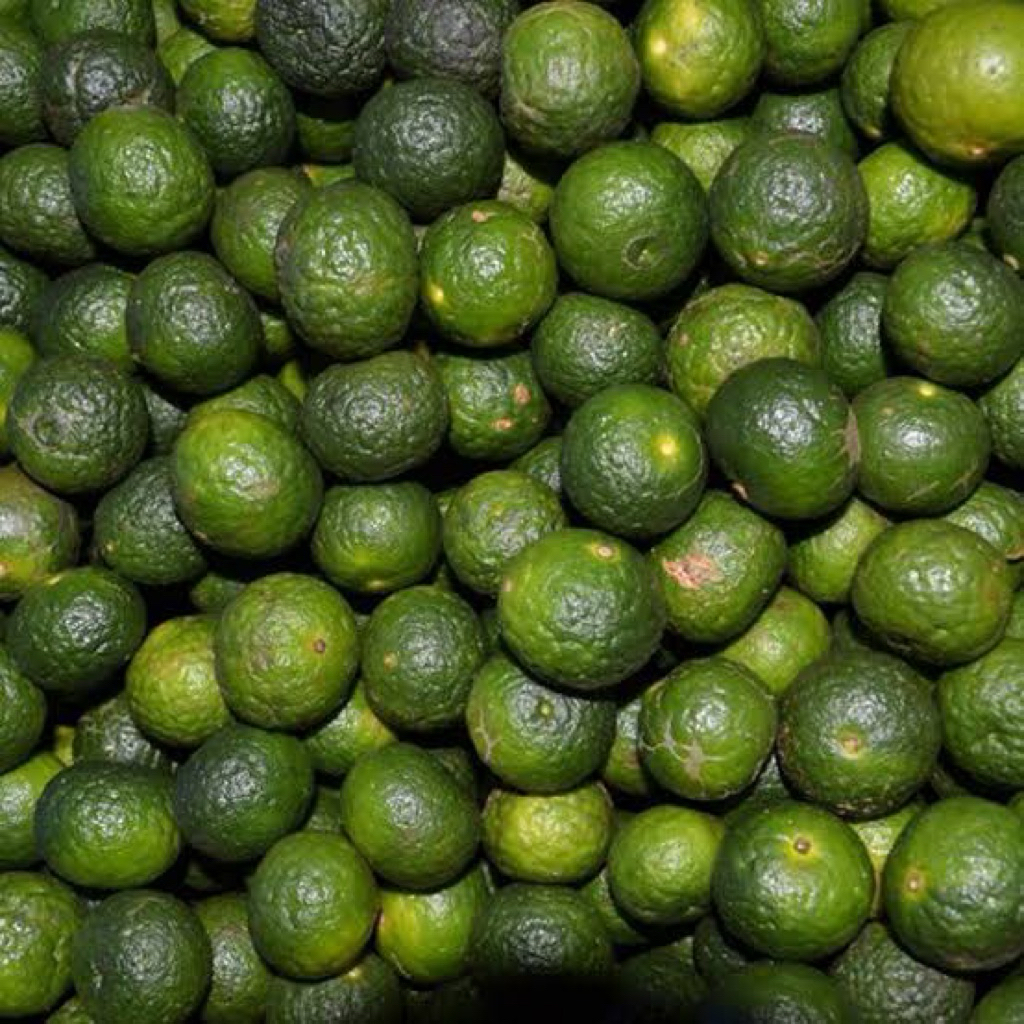 

jeruk limau jeruk limo jeruk sambel