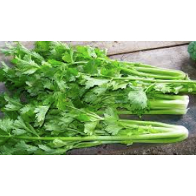 

Daun Sop Medan Daily Market