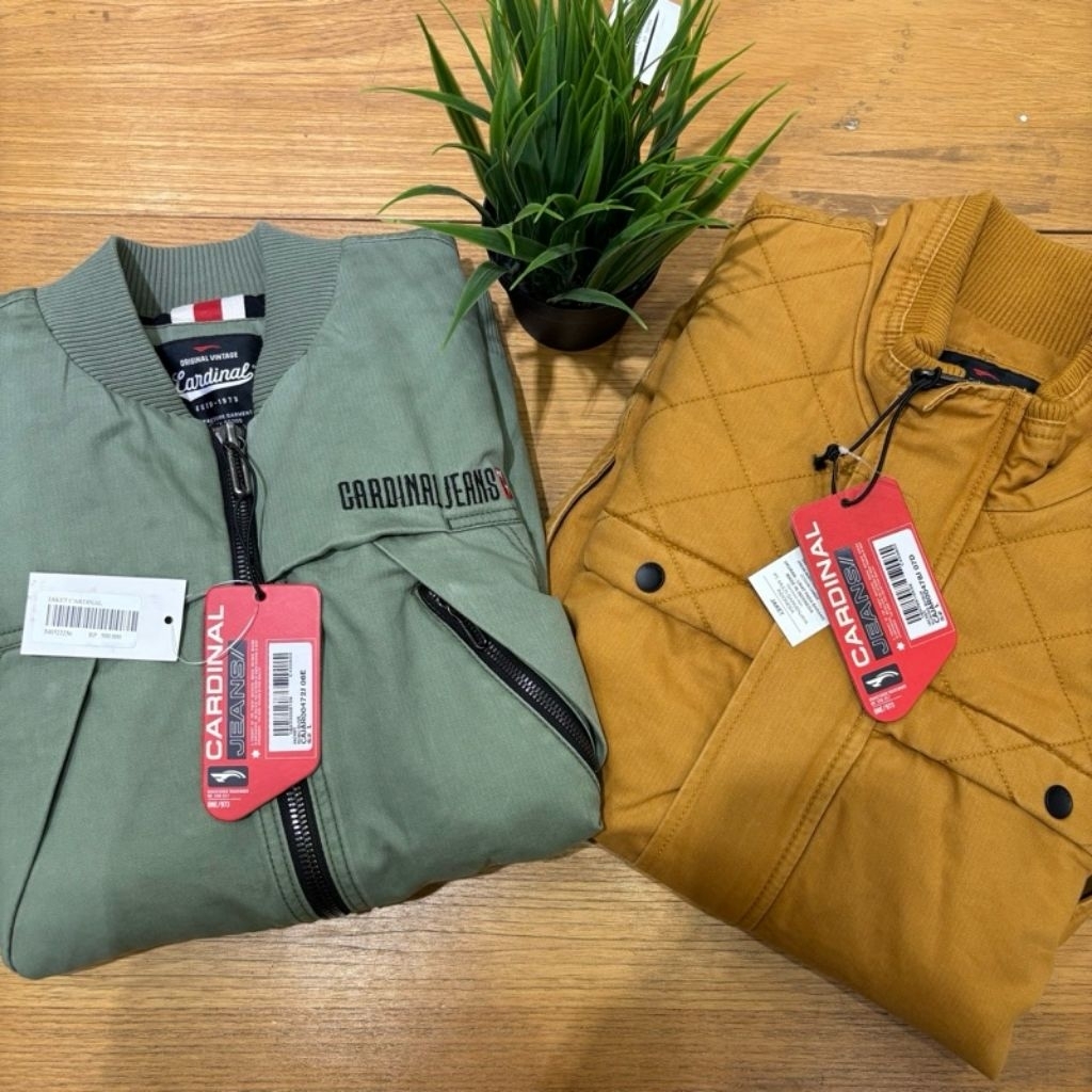 jaket katun cardinal pria original