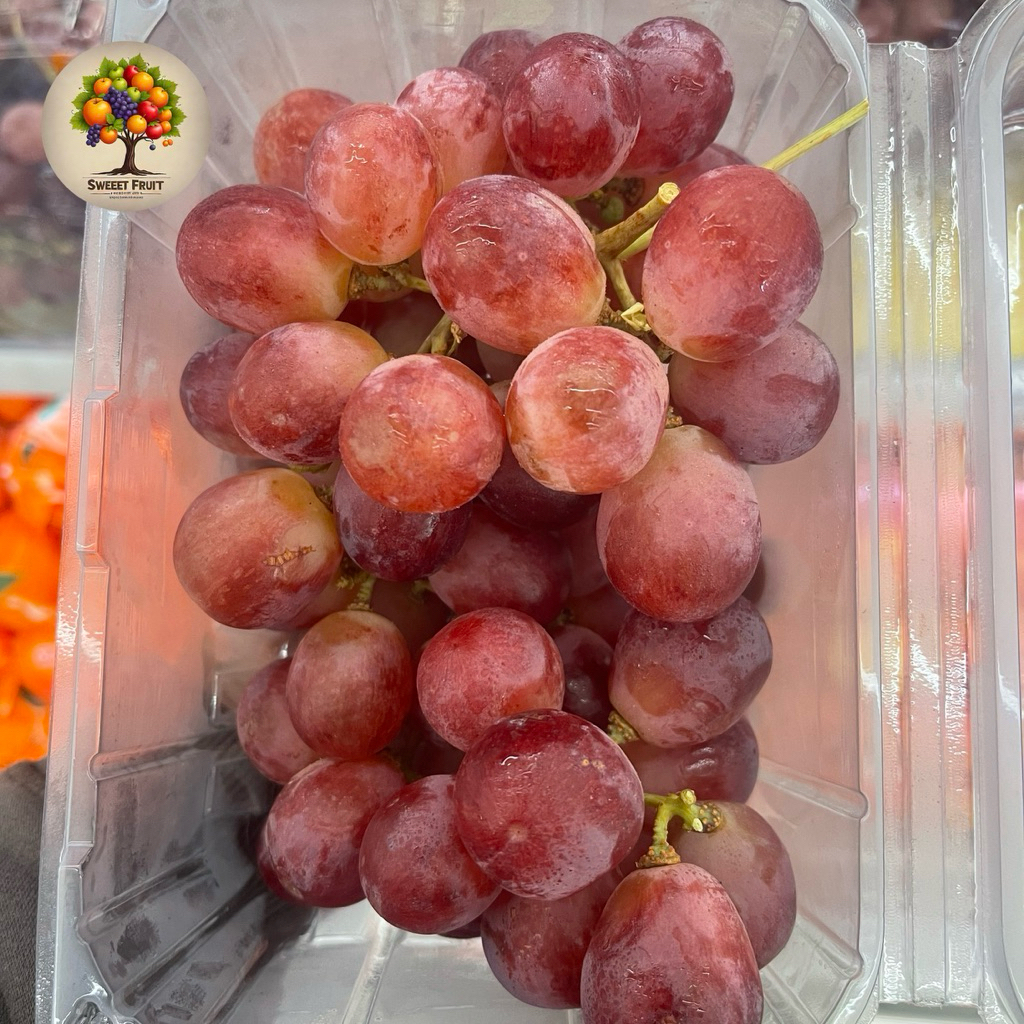 

Anggur Red Globe Australia Sweet 1Kg