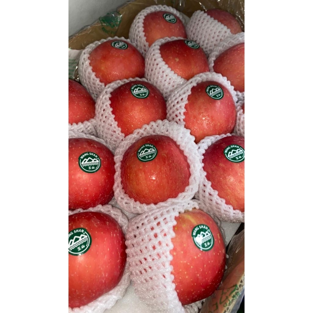 

apel fresh Wang shan/Fuji blush