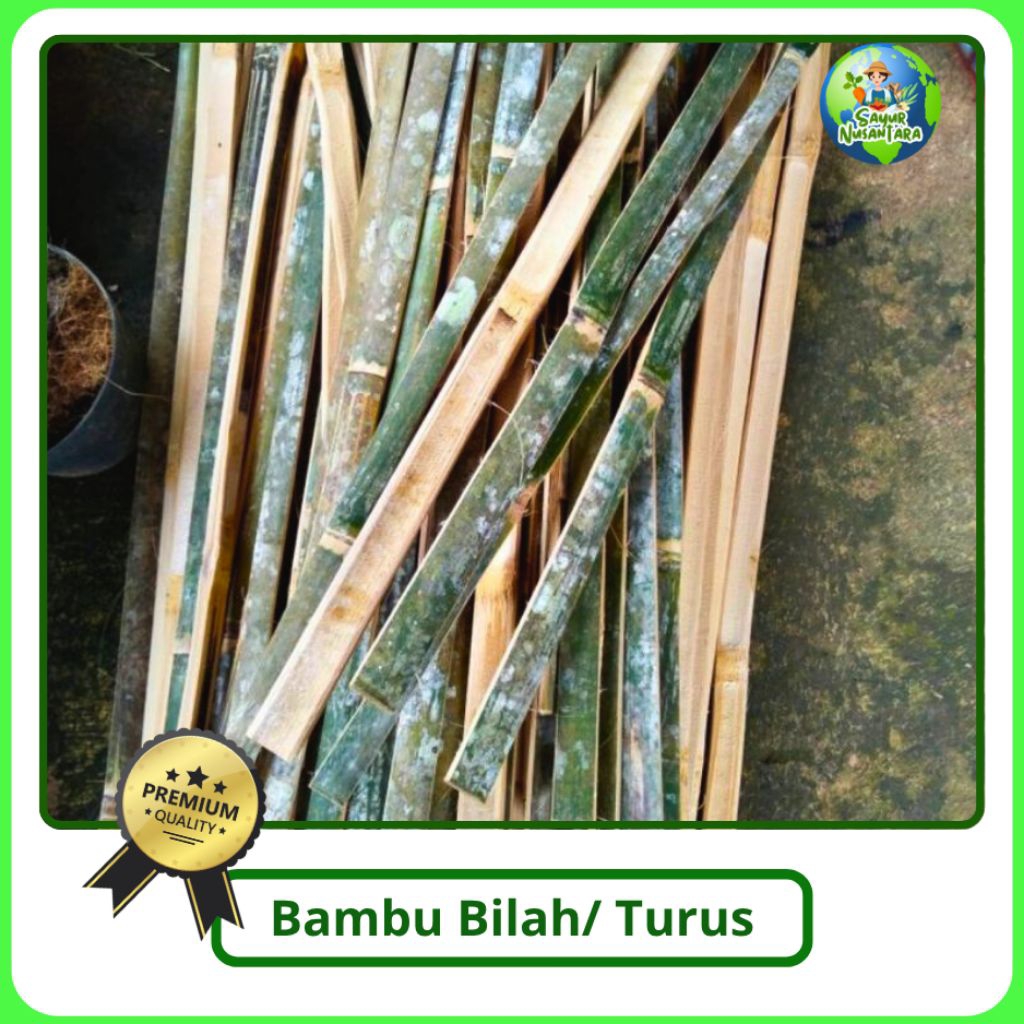 Bambu Bilah/bambu ajir/ Bambu Turus untuk penyangga/bilah bambu [50cm/100cm]