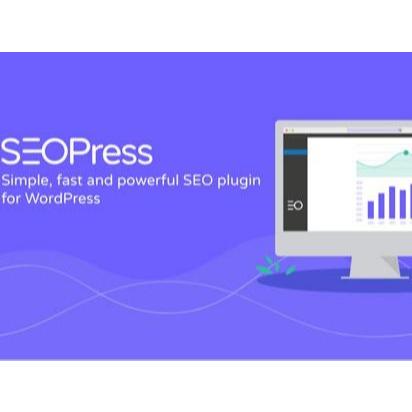 cd script web plugin wordpress untuk seo dan adsense - SEOPress PRO - WordPress SEO plugin