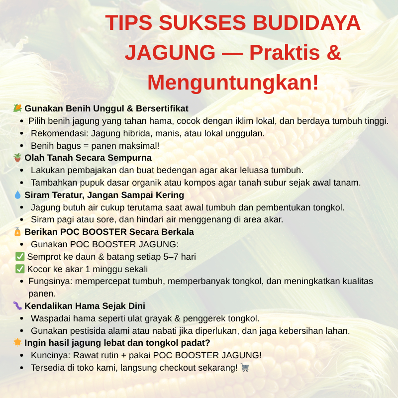 Raflezia Pupuk Cair Khusus Jagung,Pupuk Cair Untuk Jagung,Pupuk Penyubur Daun Dan Buah,Pupuk Booster