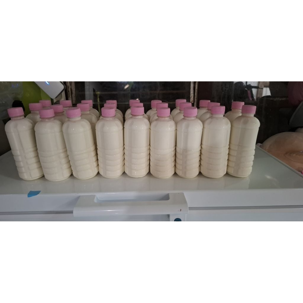 

susu kambing etawa murni 100% tidak bau prengus