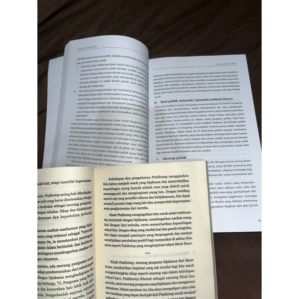 

buku politik