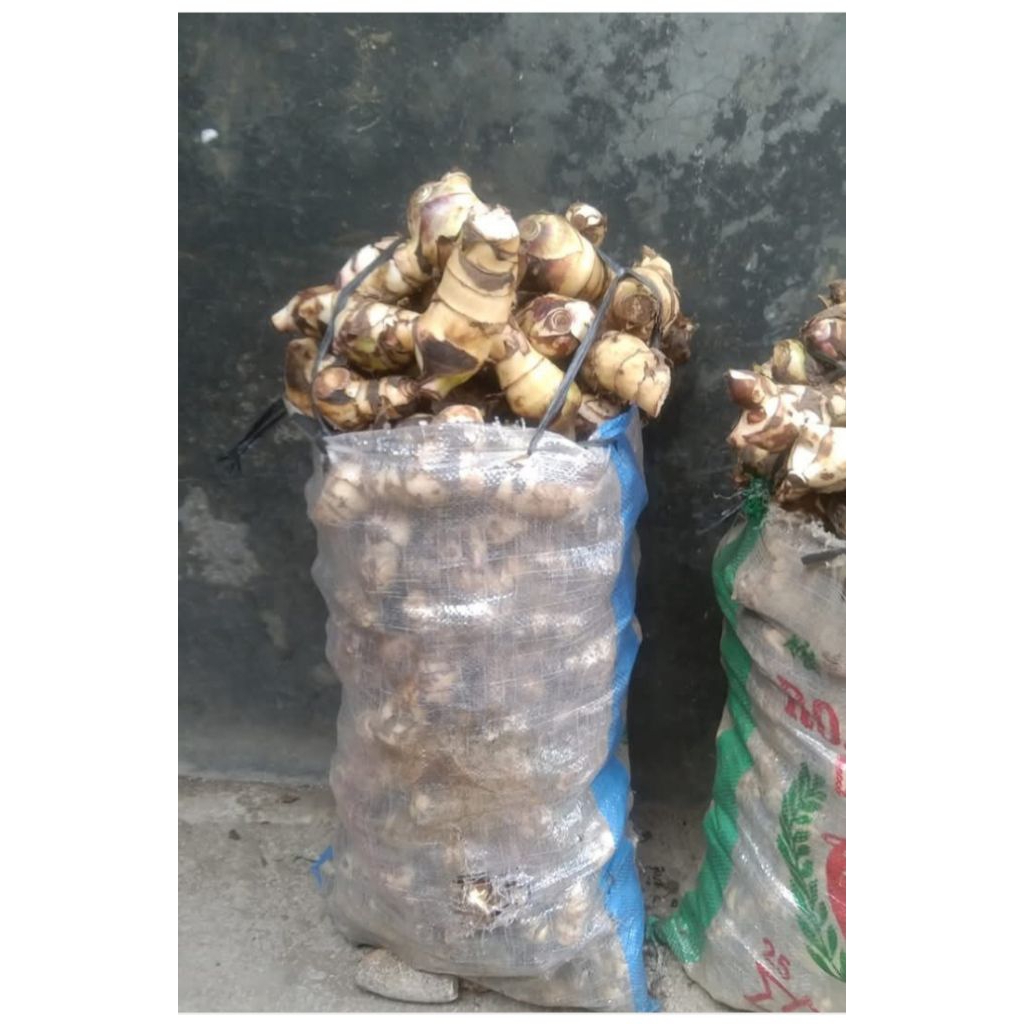 ganyong muria,oleh oleh khas gunung muria@ 2kg