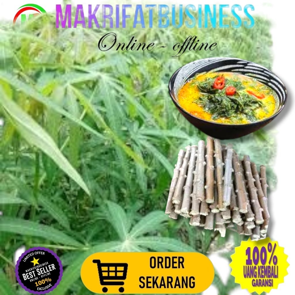 

MAKRIFATBUSINESS Paket 1 Pcs 20 cm BATANG SINGKONG SAYUR Untuk Konsumsi Aneka Masakan Juga Bisa Sumber Protein Ternak Ayam Ikan Gurami dll