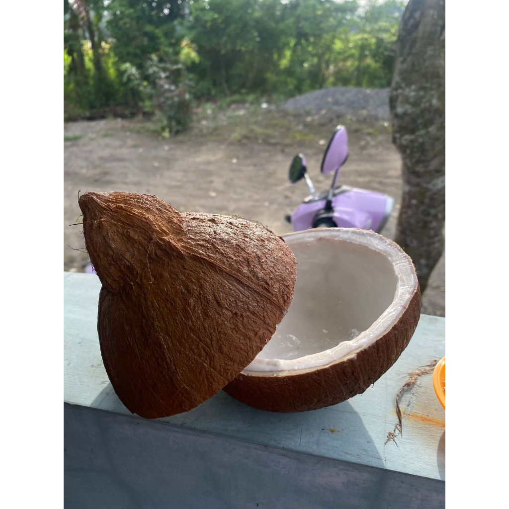 

Kelapa kupas replika