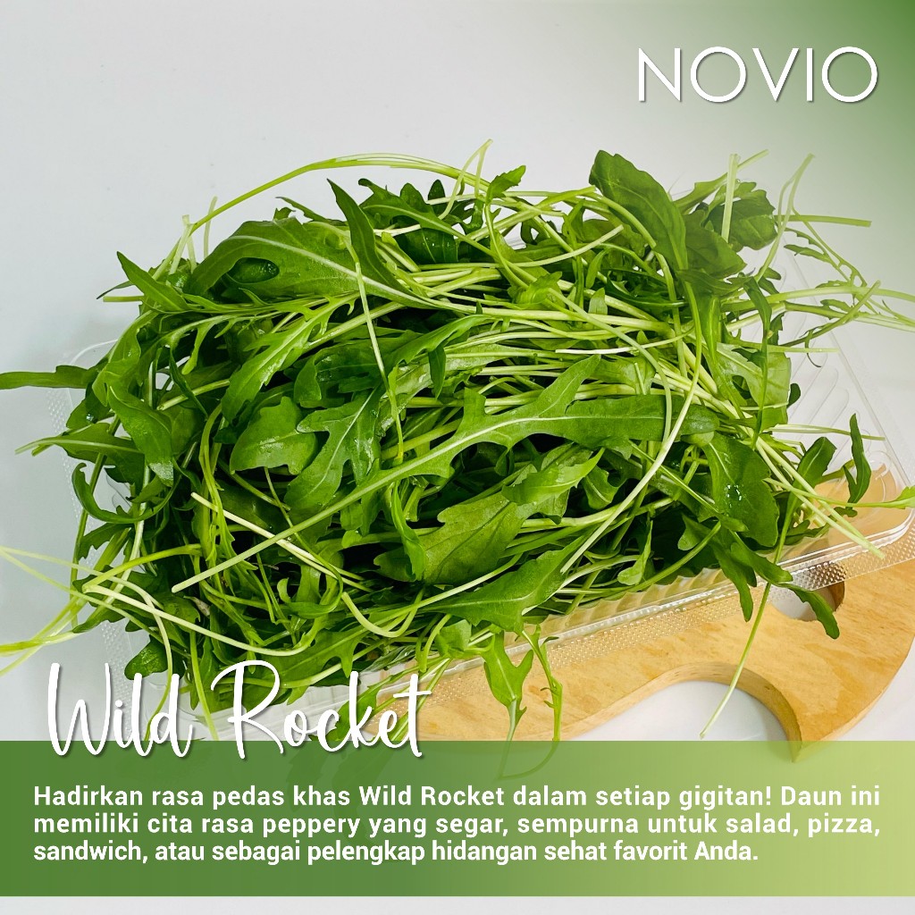 

Daun wild rocket fresh / arugula / wild rocket / daun salad / wild rocket fresh