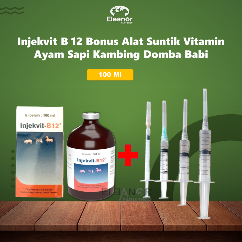 Injekvit B 12 Bonus Alat Suntik Vitamin Ayam Sapi Kambing Domba Babi