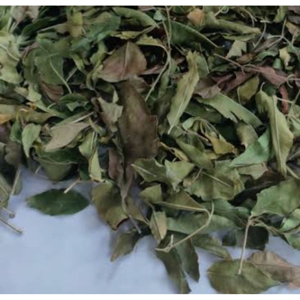 

Daun Mindi kering organik natural 250 gram-az