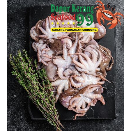 

Baby Gurita 1000gr Baby Octopus Anak Gurita Gurita Mini Frozen