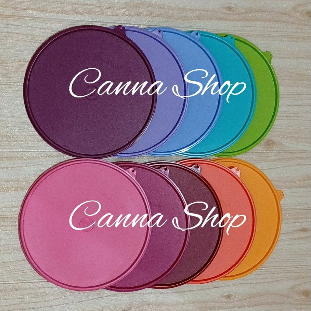 Seal Giant Canister Tupperware