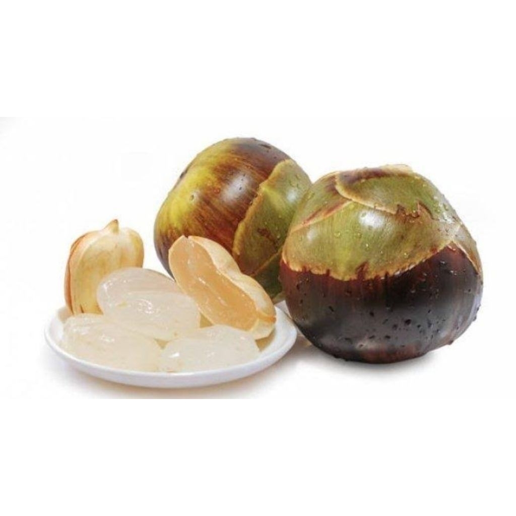 

buah siwalan/lontar utuh 1 biji,asli tuban