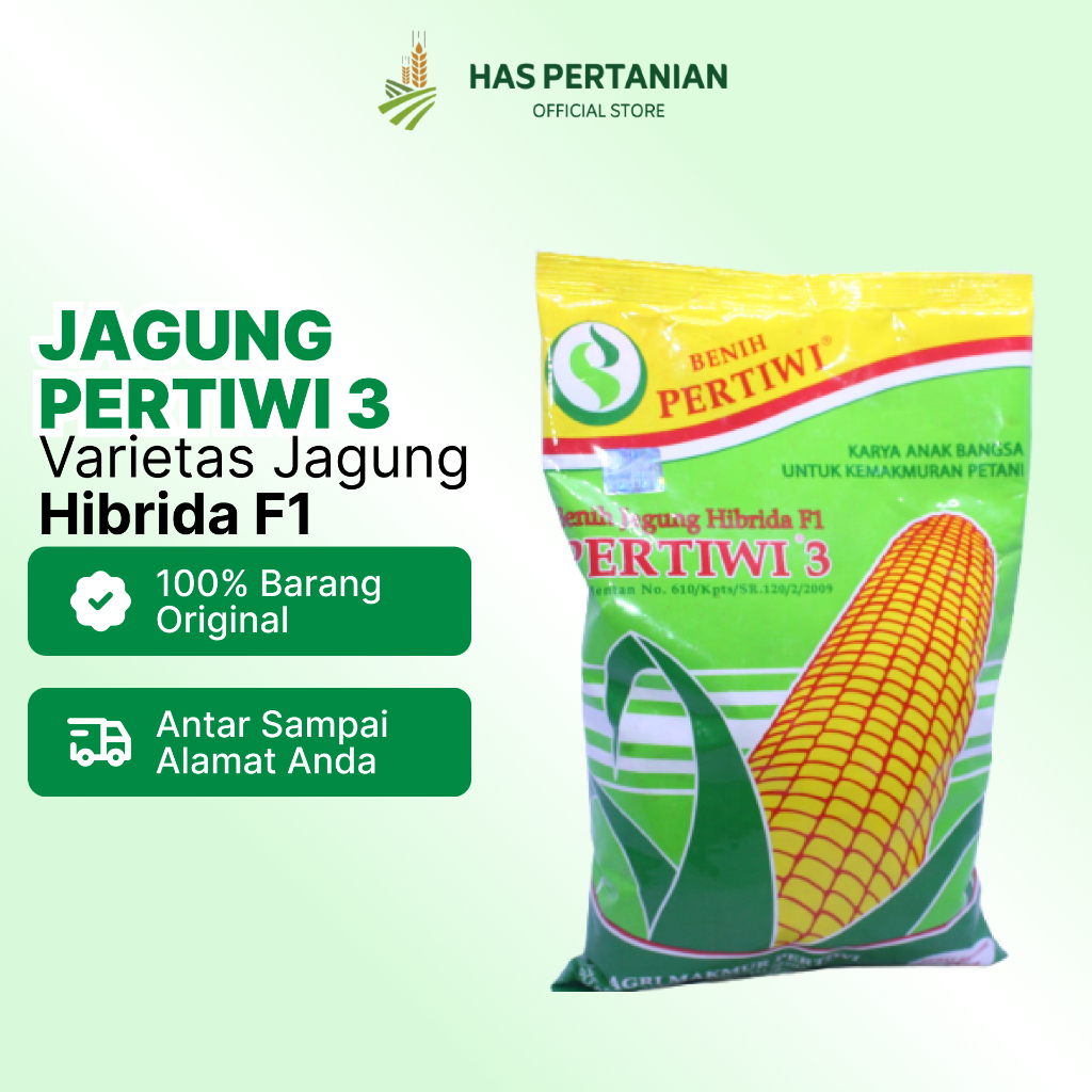 

Jagung Pertiwi 3 - Varietas Jagung Hibrida F1