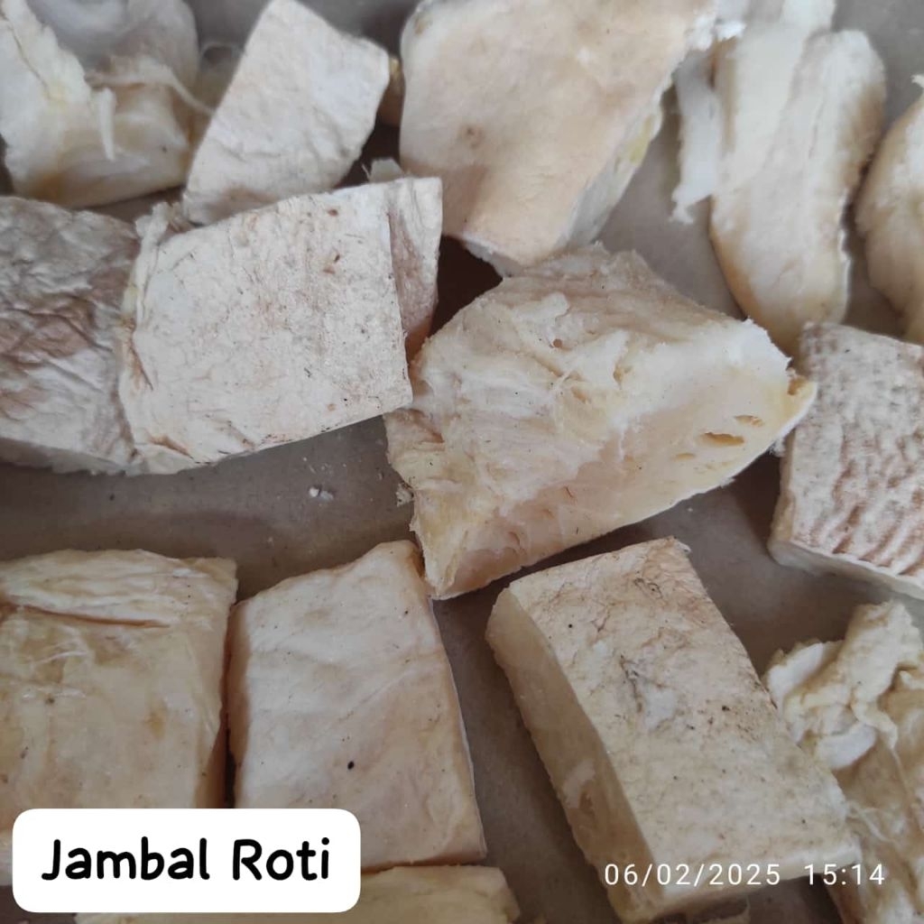 

Ikan Asin Jambal Roti Premium 100gr dan 250gr – Daging Tebal, Gurih, Siap Goreng | Tahan Lama