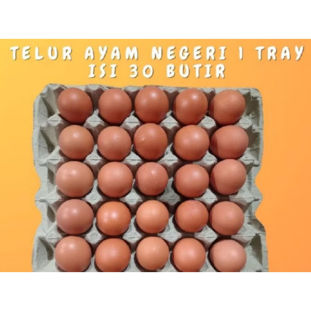 

TELUR AYAM NEGERI grade A 1 tray isi 30 pcs