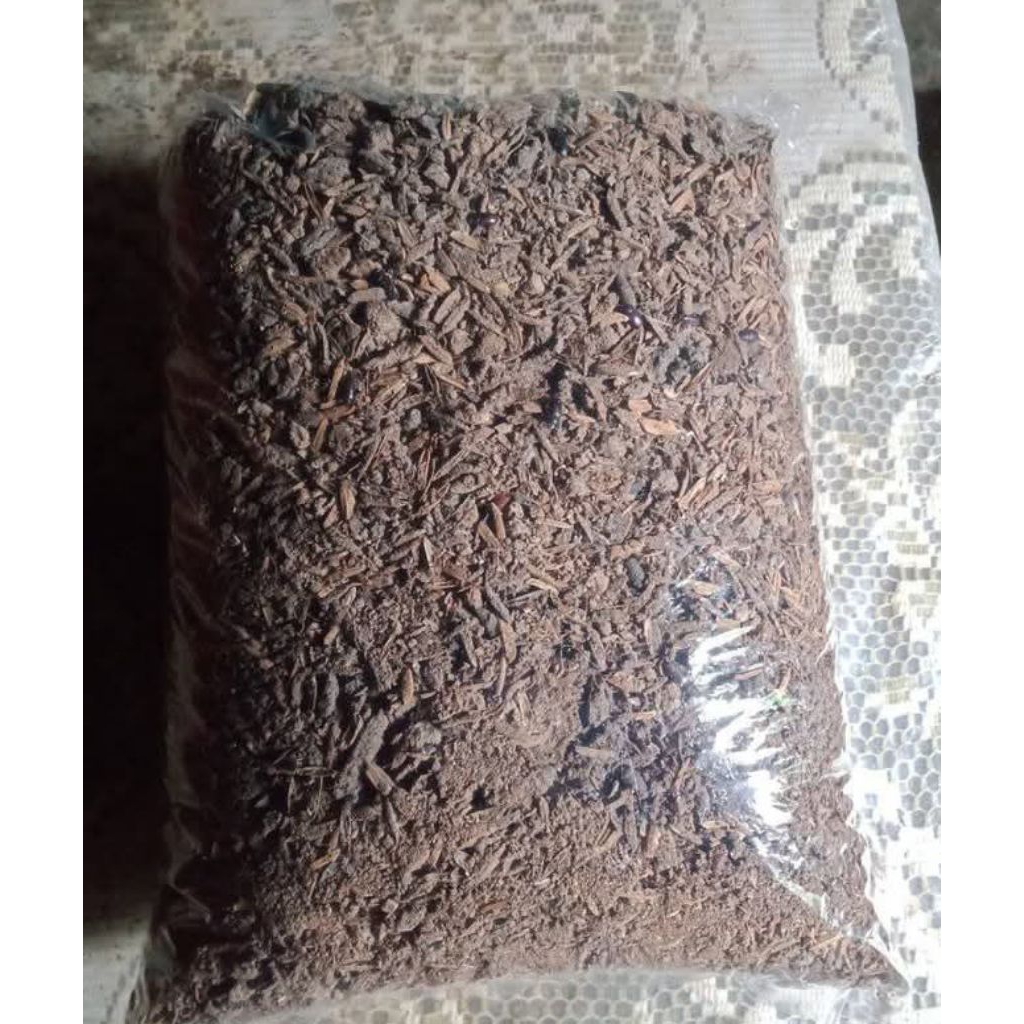 pupuk kandang kotoran ayam boiler campuran sekam