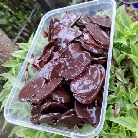 

KRIPIK PISANG LUMER COKLAT 500 ml
