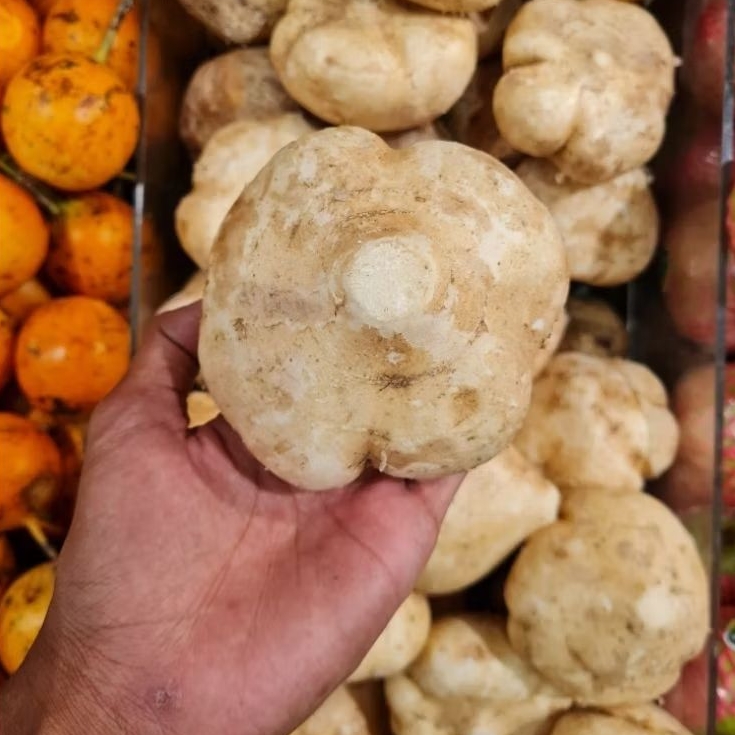 

BUAH BENGKOANG 1kg