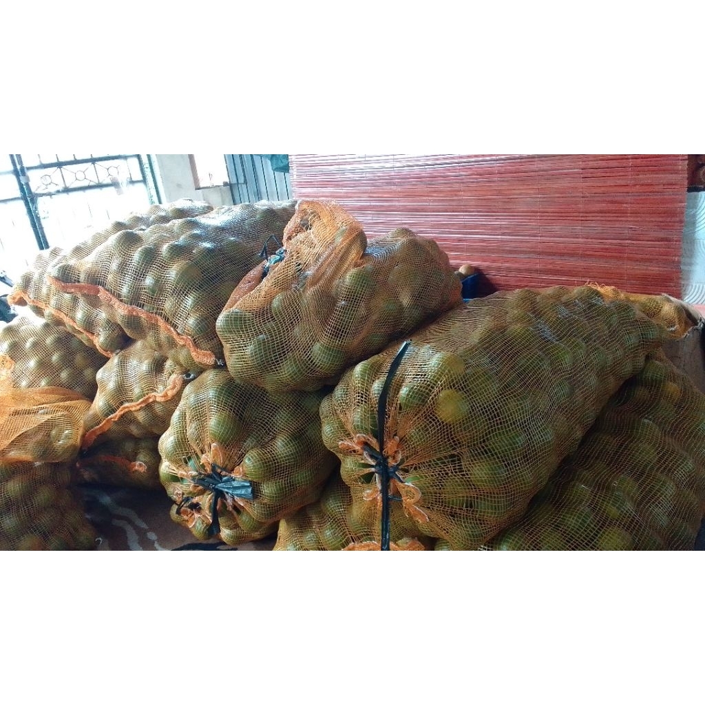 

Jeruk Baby Java Malang Fresh, size Kecil, berat 1Kg