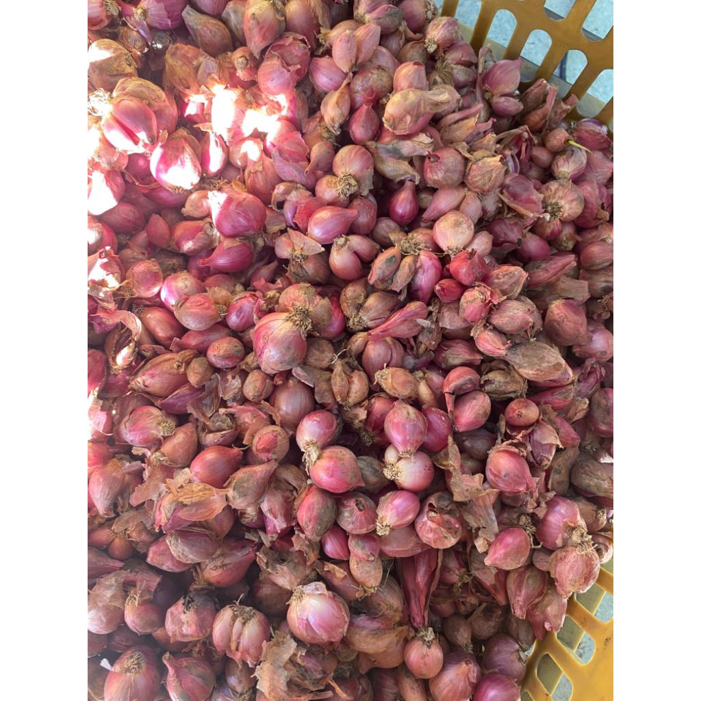 

Bawang Merah campur 1kg