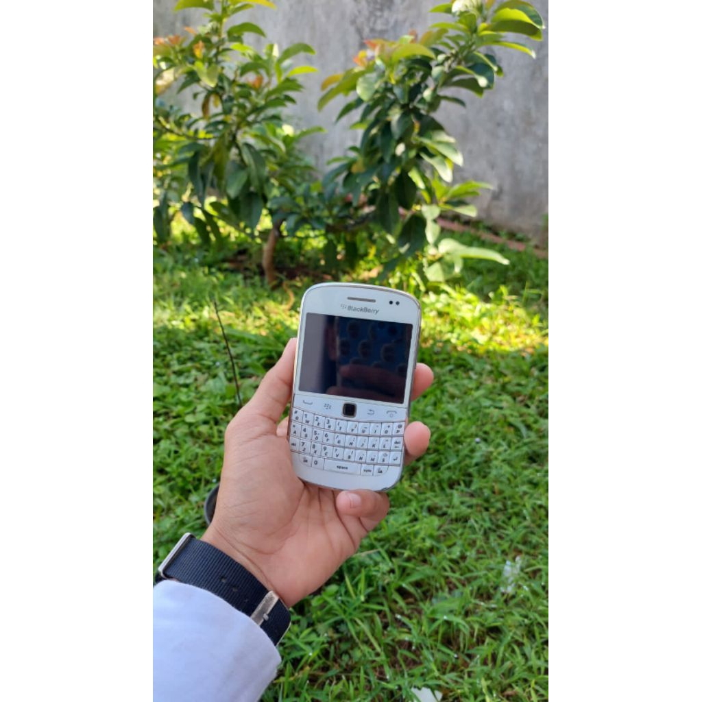 BlackBerry Bold Touch 9900