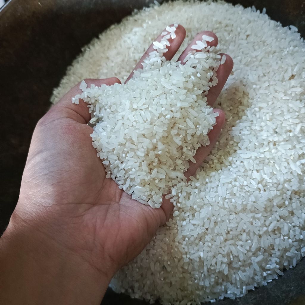 

Beras Pulen selepan 500gram | Beras Impari | asli petani Blitar