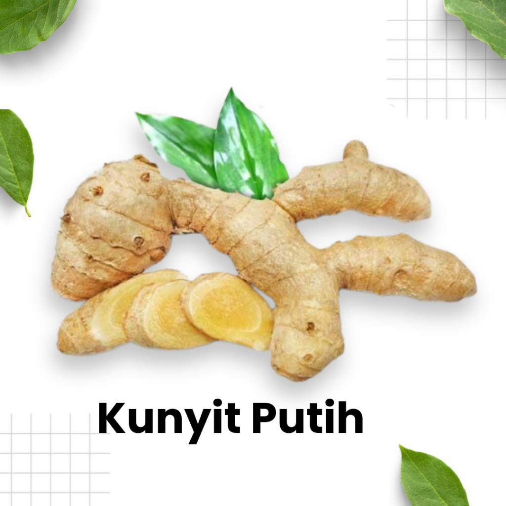 

Kunyit Putih 100gram / bumbu kunyit / sayur / bumbu dapur / rempah kunir / Sidoarjo Surabaya