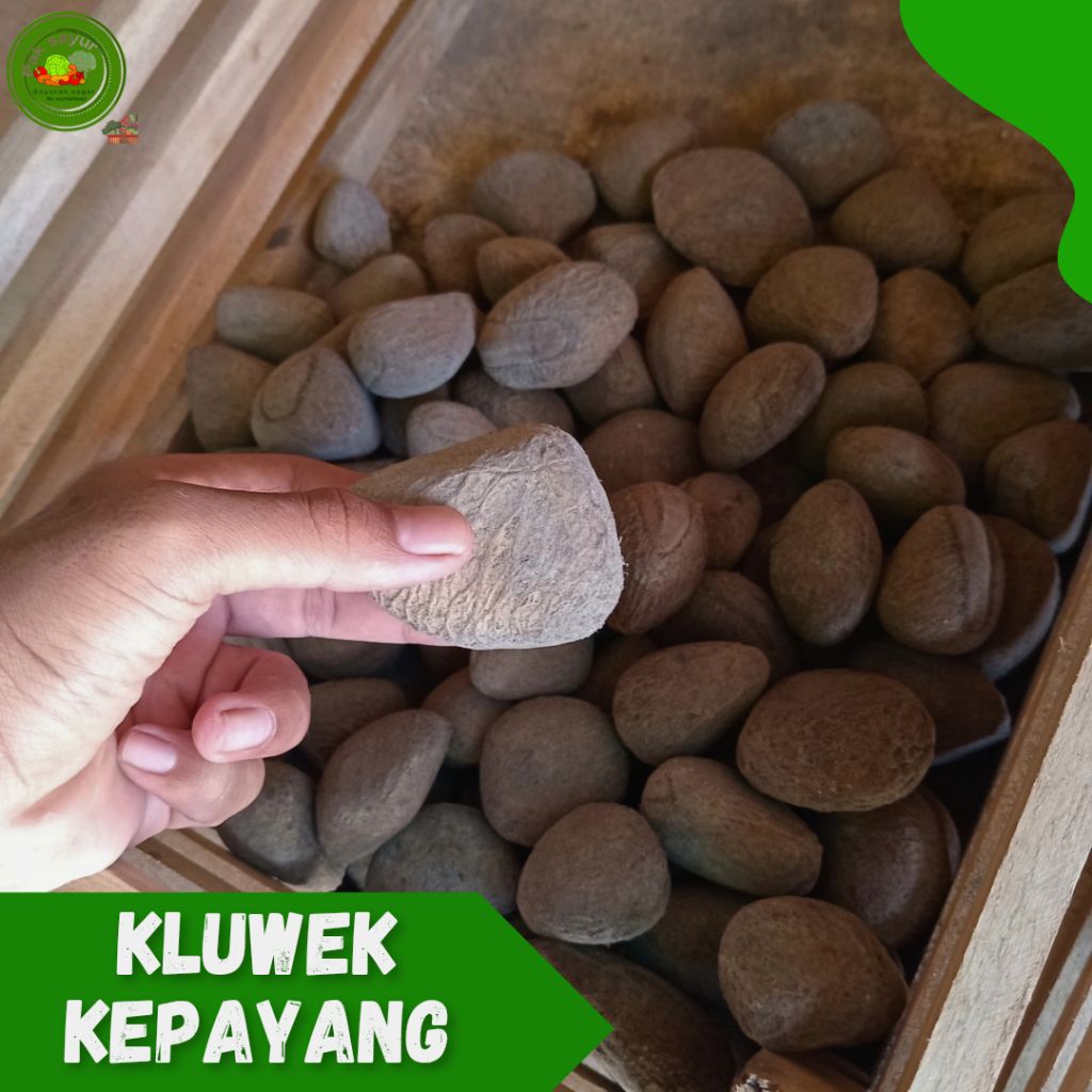 

Biji Kluwek / Kluwak , Biji Kepayang , Biji Kluwek , Murah Bumbu Dapur , sweet seed