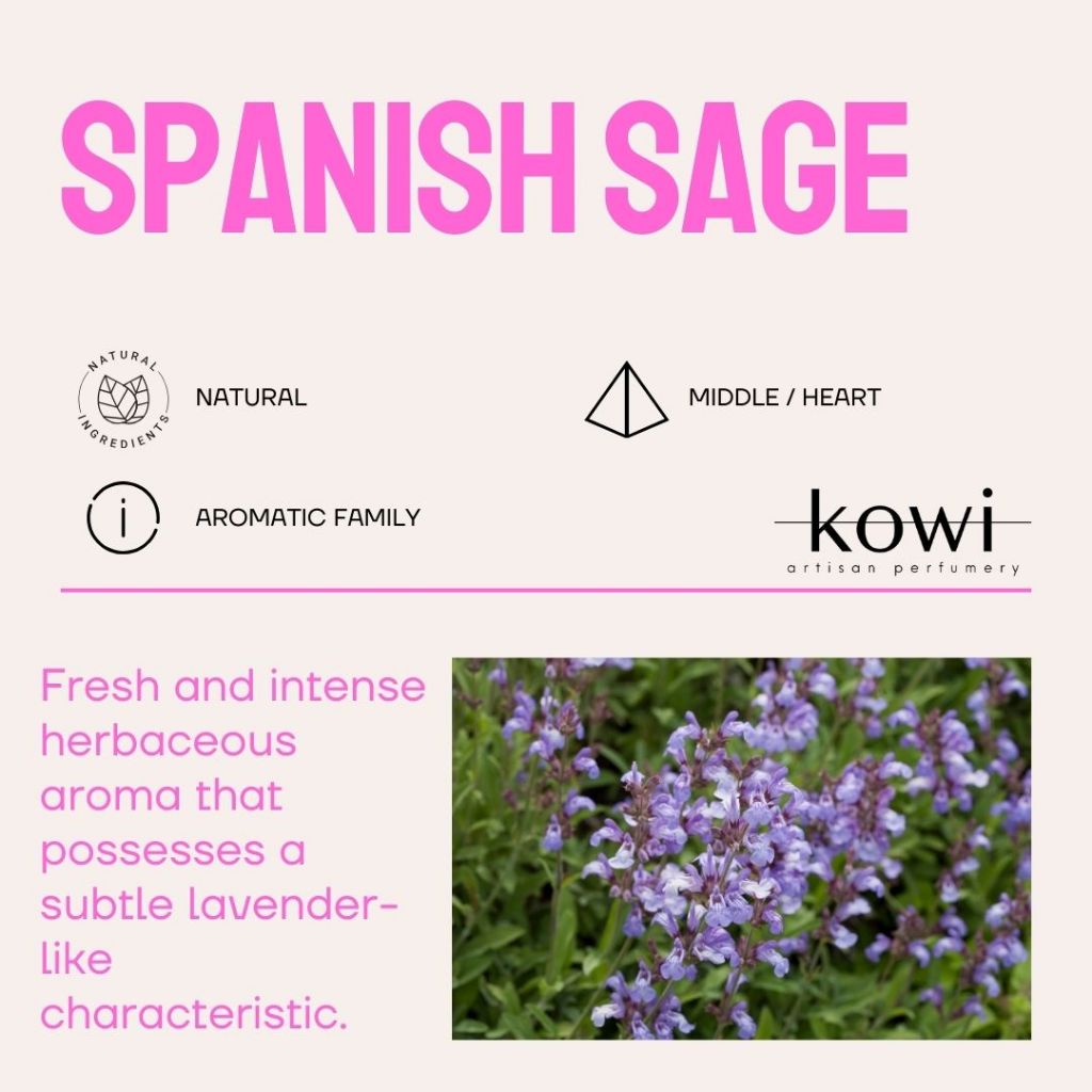 FRANCE CLARY SAGE ESSENTIAL OIL