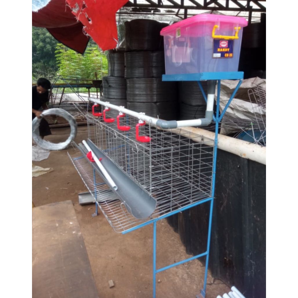 kandang ayam galvanis untuk ternak skala rumahan