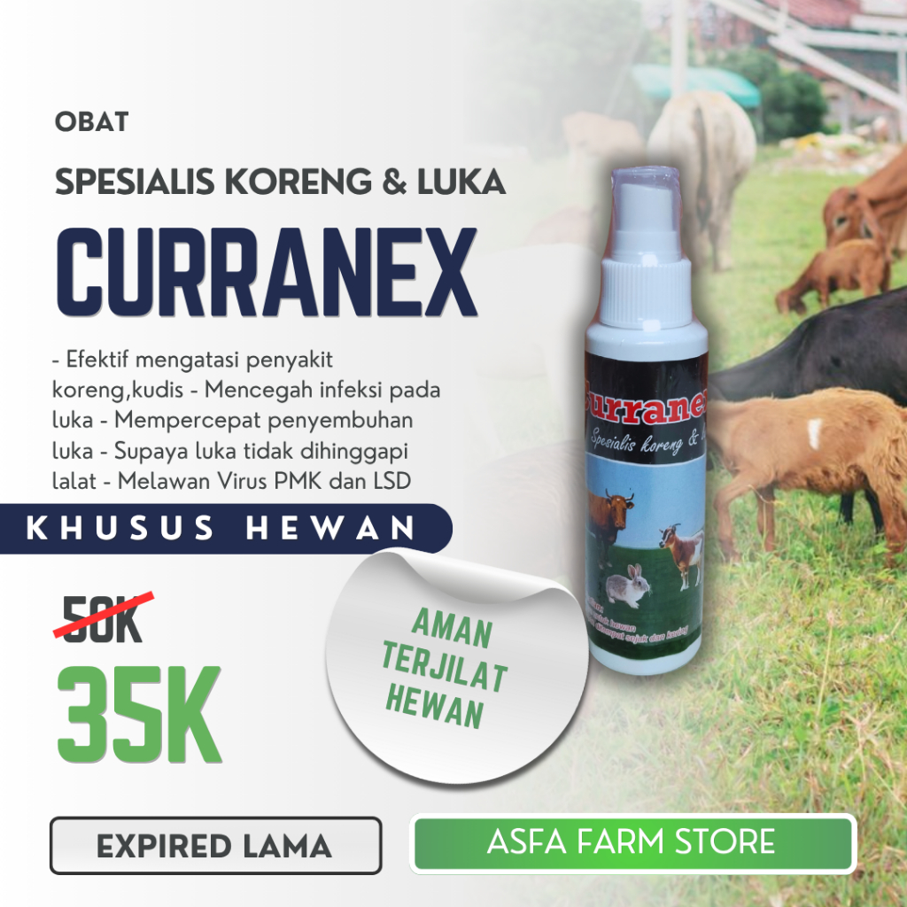 Obat Gudik Kambing Sapi Dan Hewan Lainnya Curranex Spray