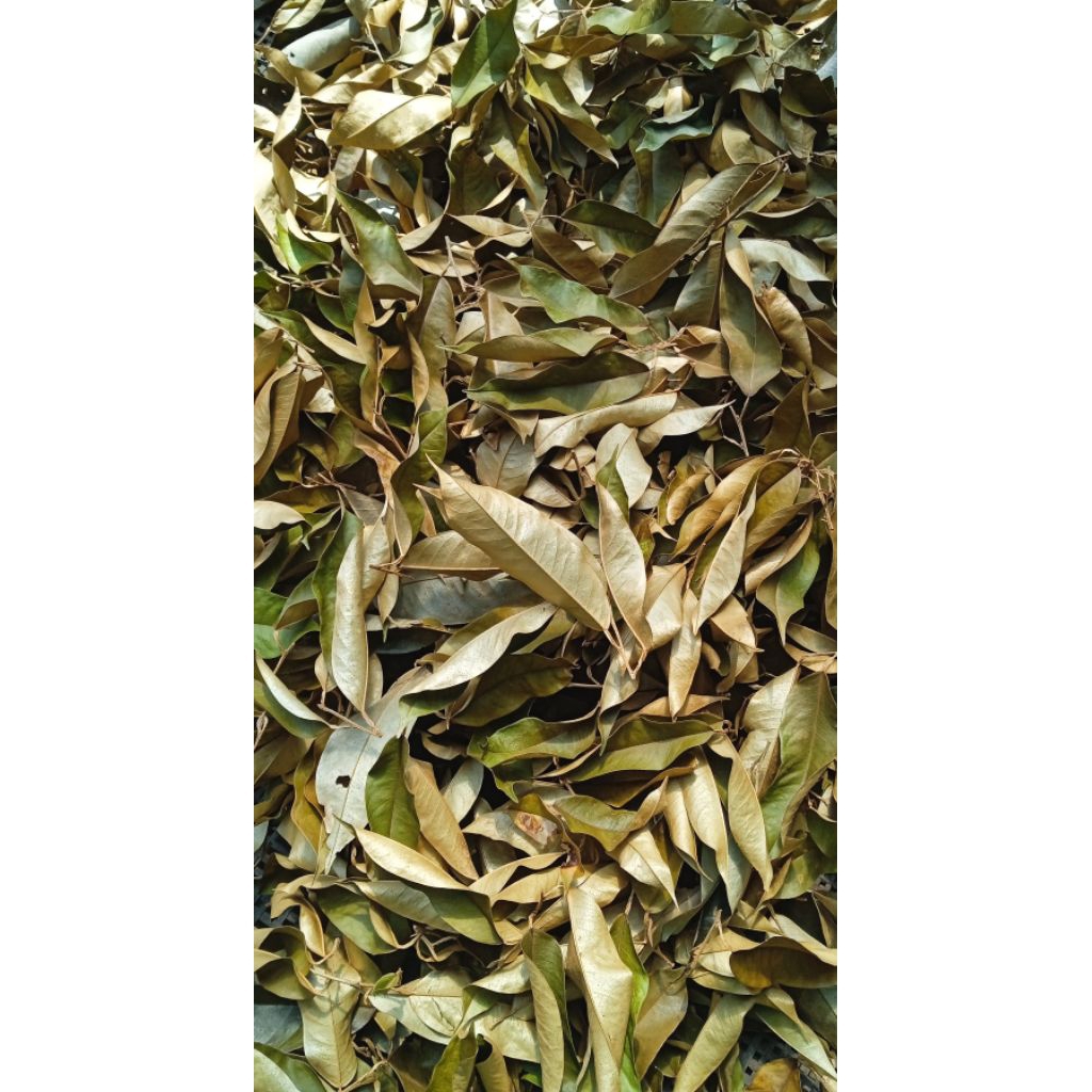

daun durian kering 100 lembar//daun duren kering
