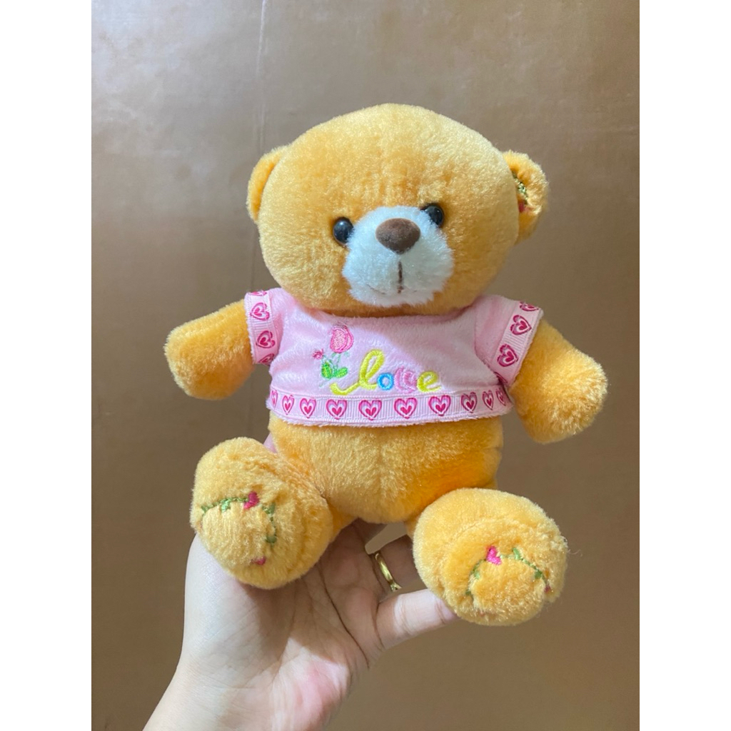 Boneka Karakter Teddy Bear Kostum Pink size 18cm / Boneka Beruang Lucu / Boneka Teddy Bear / Boneka 