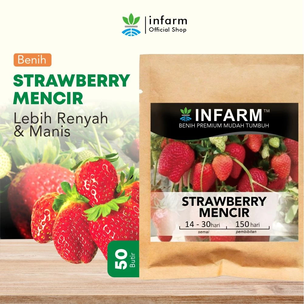 INFARM - Benih Bibit Biji Super Buah STRAWBERRY MENCIR Cocok untuk Dataran Rendah