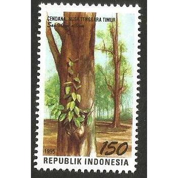 

A 10682 SATU BUAH PRANGKO INDONESIA TAHUN 1995 TEMA FLORA CENDANA KHAS PROVINSI NUSA TENGGARA TIMUR KONDISI MNH MINT NEVER HINGED