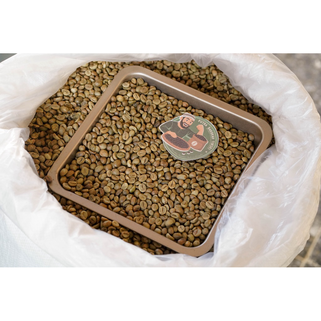 

GREEN BEAN FINE ROBUSTA SORTASI GRADE 1 PREMIUM