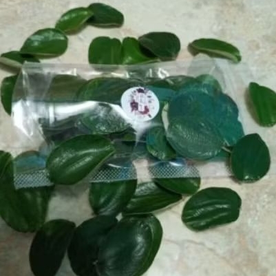 

daun bidara 100 lembar