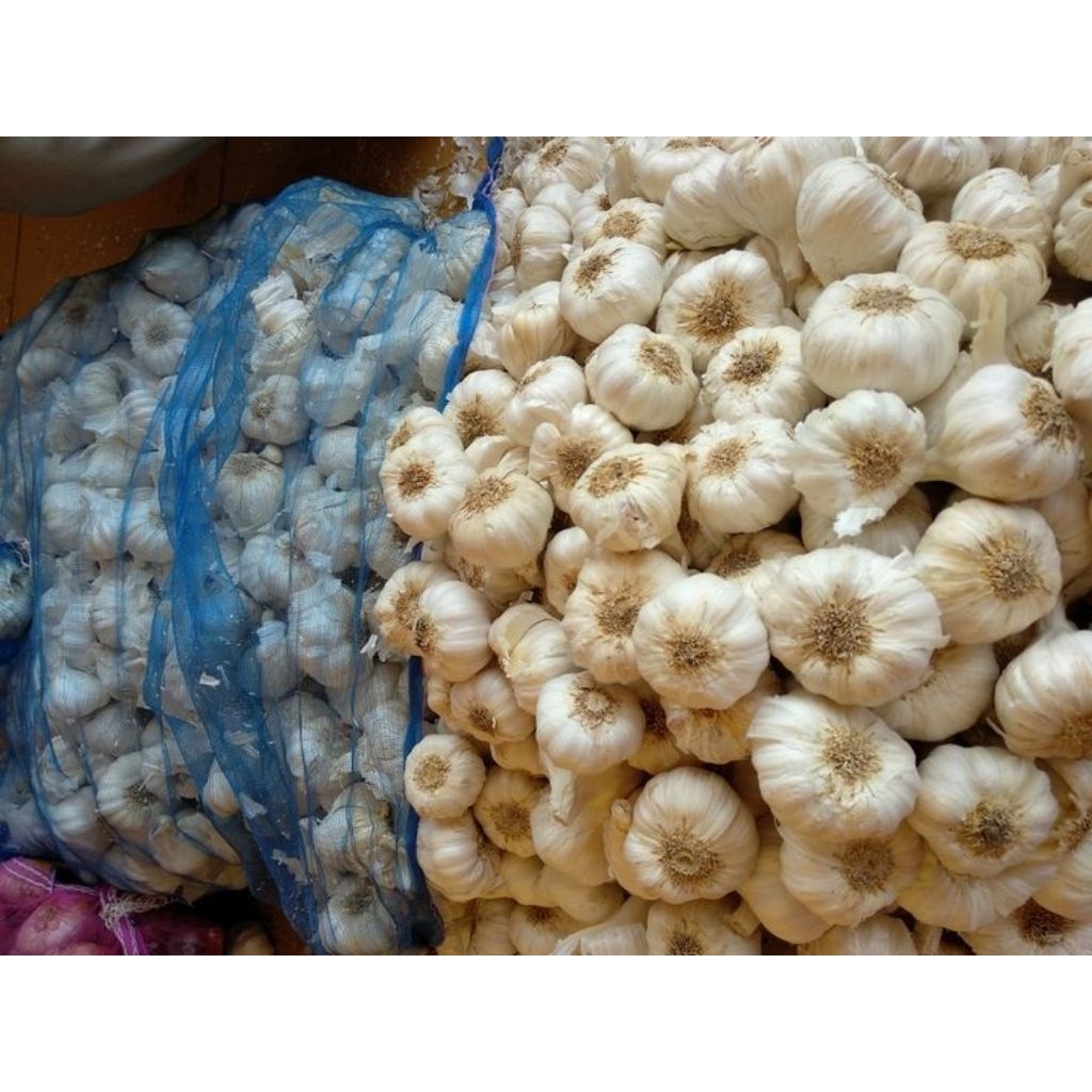 

BAWANG PUTIH SEGAR 100% LANGSUNG DARI PETANI