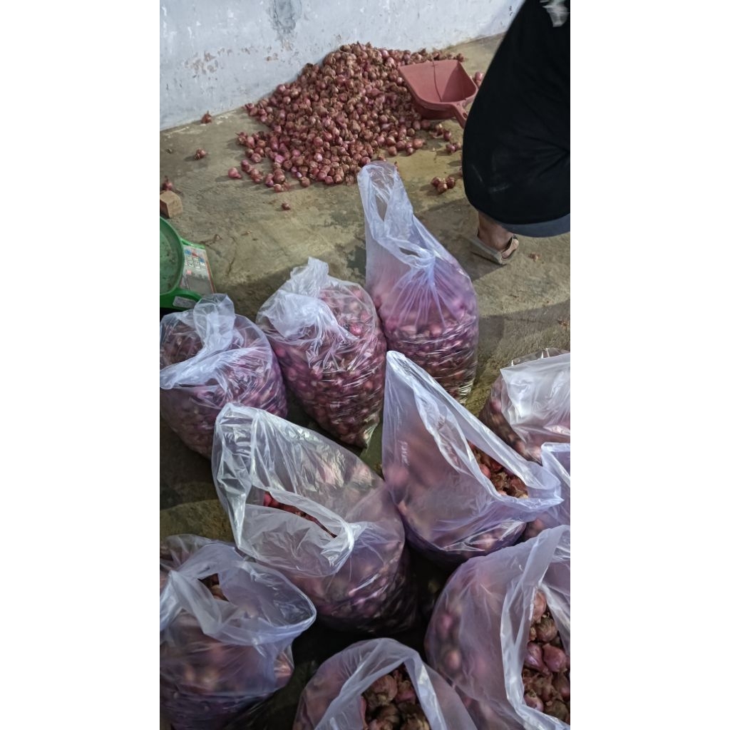 

Bawang Merah Temanggung