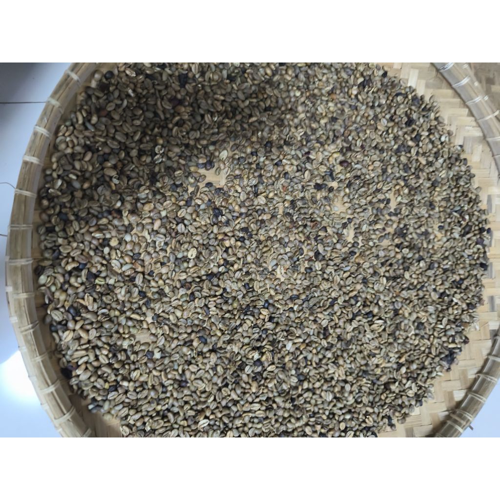 

Biji kopi Robusta/1kg
