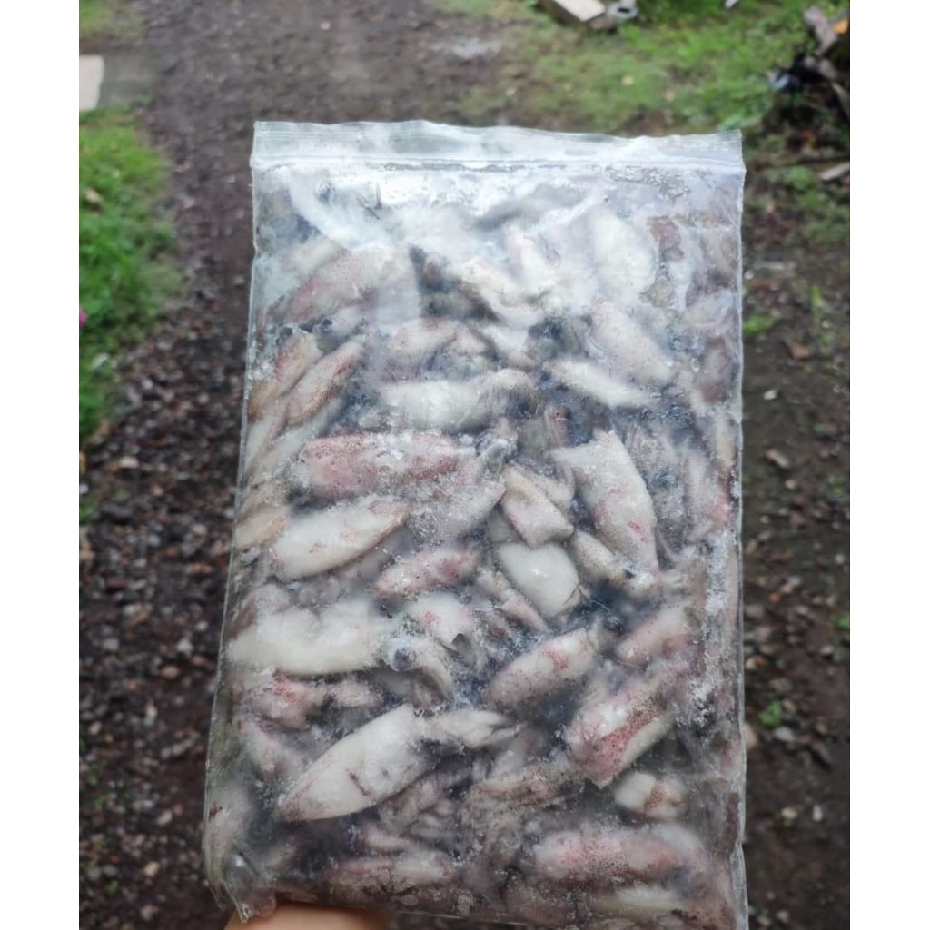 

Baby Cumi Fresh no Asin 1kg