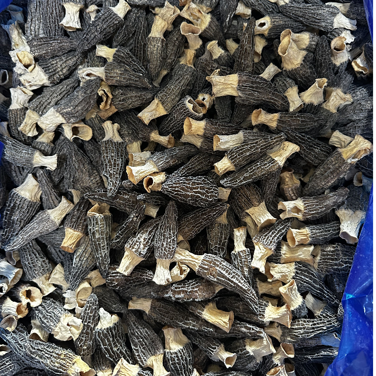 

Jamur Morel Kering / Morel Mushroom / Morchella Mushroom -100gr