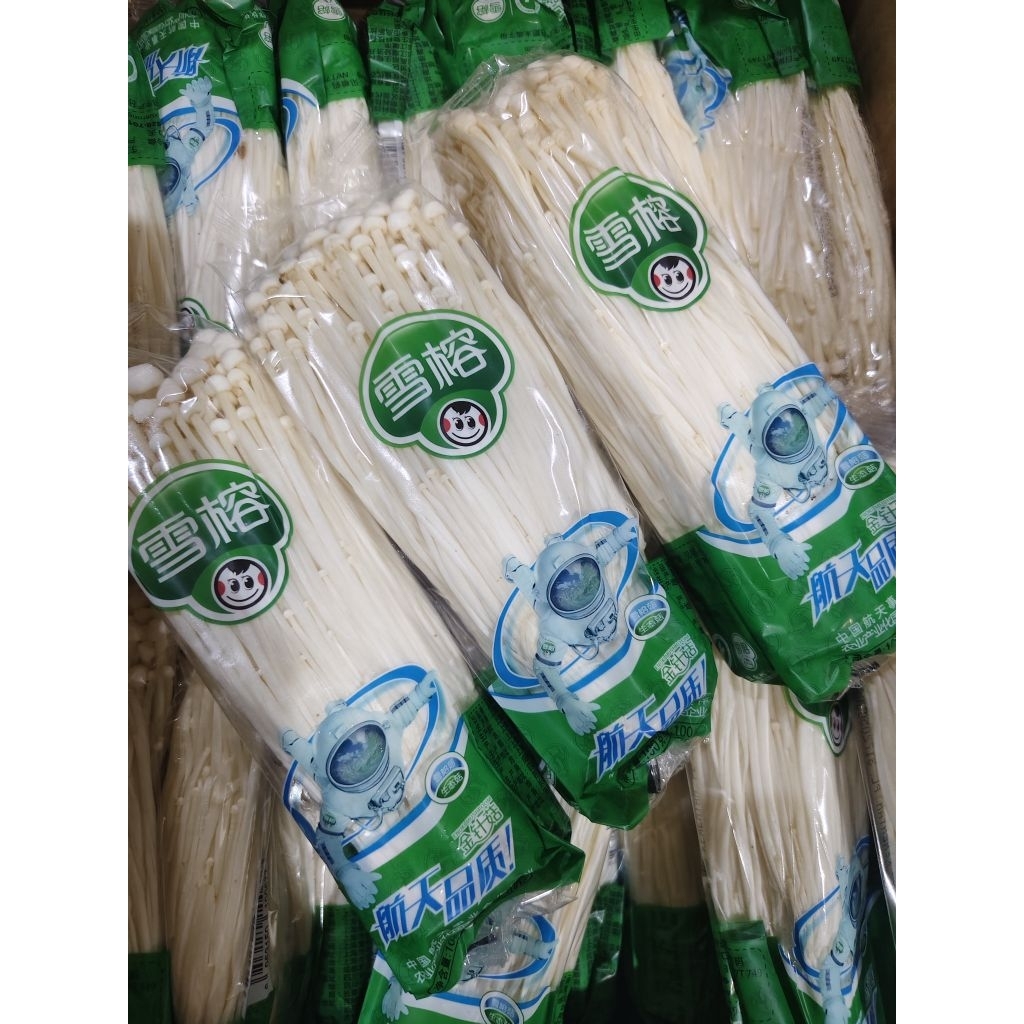 

JAMUR ENOKI(UNTUK WILAYAH JAWATIMUR)