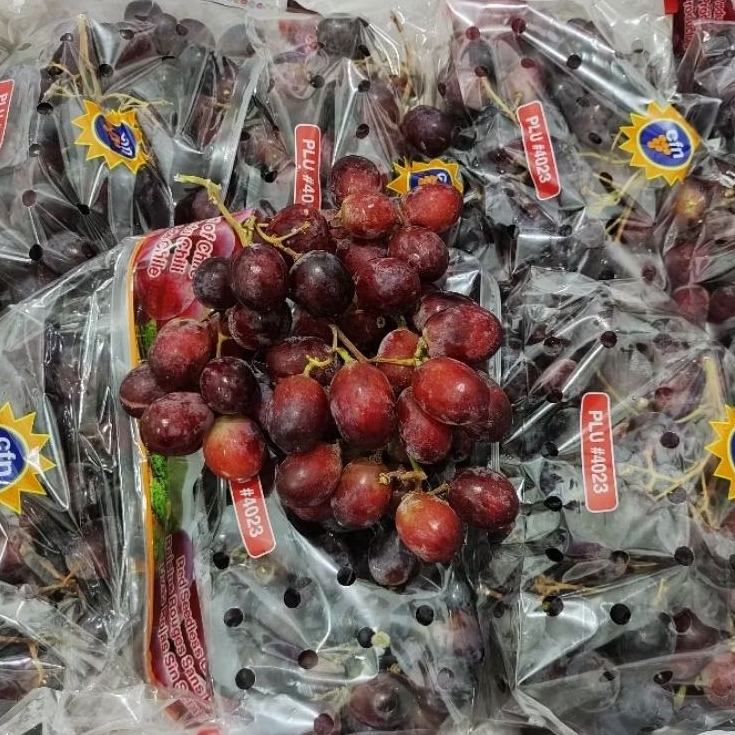 

[KIRIM INSTAN/SAMEDAY] Anggur Allison CHILE PR*MIUM FULL MANIS GARING SEEDLESS 1kg